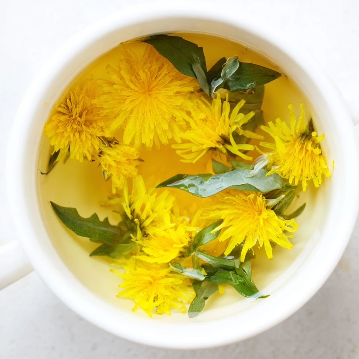 Warm dandelion herbal tea poured into ceramic mug surrounded by freshly harvested yellow flowers and petals